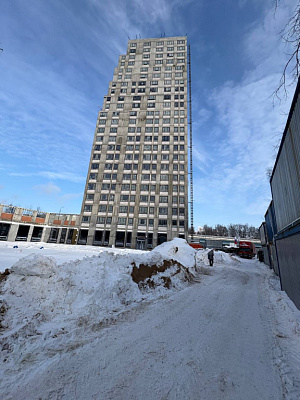 КУРКИНО15