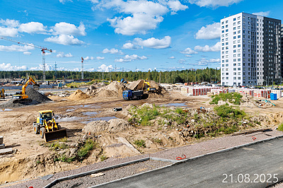 Парголово
