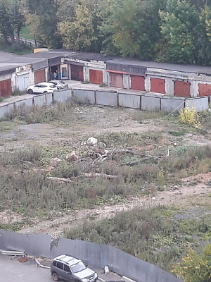 Макаринская роща