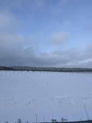 Миниполис Дивное