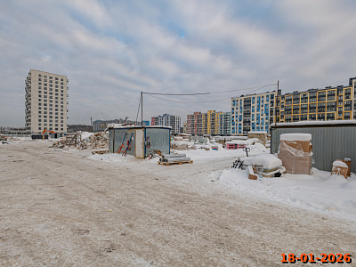 Янинский лес