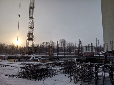 Березовая роща