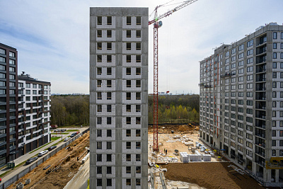 Левел Лесной