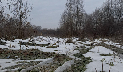 село С Новолуговое