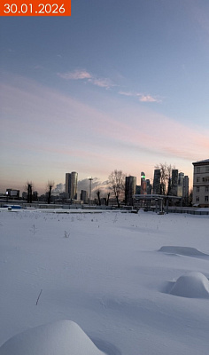 ФСК Amber City