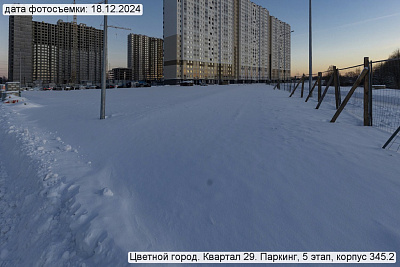 Цветной город