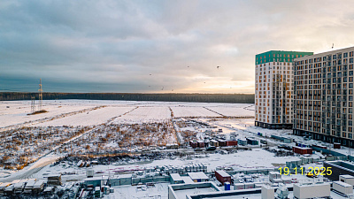 ЛО, Деревня Новосаратовка
