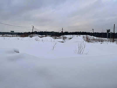 RIGA HILLS (РИГА ХИЛЛС)