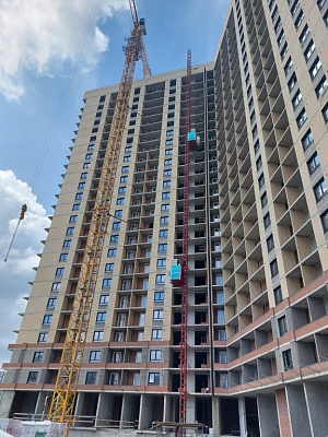 Сакура парк