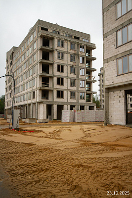 Экосити