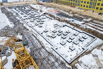 Смородина