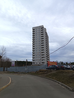г. Брянск, Проспект Московский