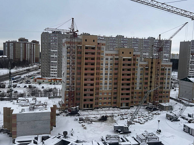 г. Сургут