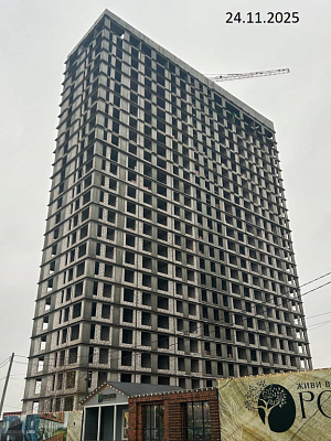 РОЩА д.2