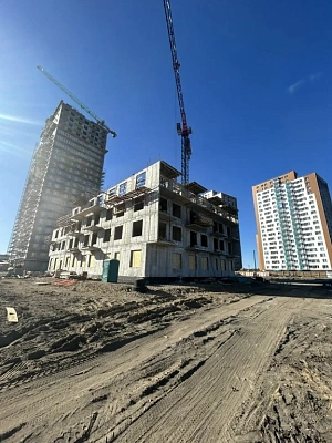 г. Петрозаводск, Улица Зайцева