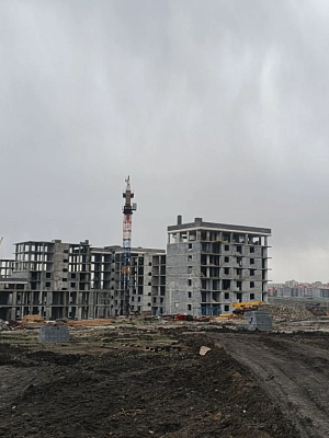 Село Репное