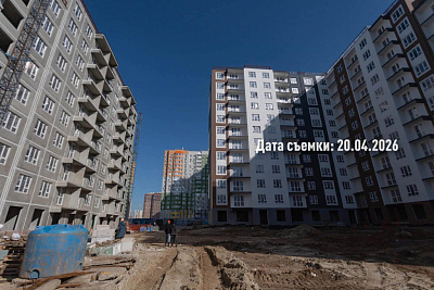 Концепт-проект 