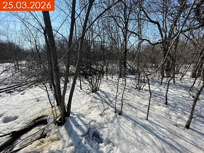 ЖК Флабеллум