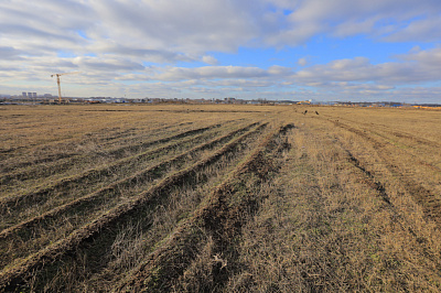 Новый Ростов 64 Литер