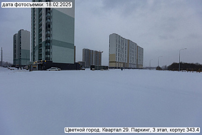 Цветной город