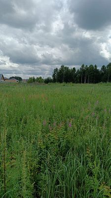 г. Бердск