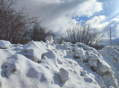 г. Новосибирск