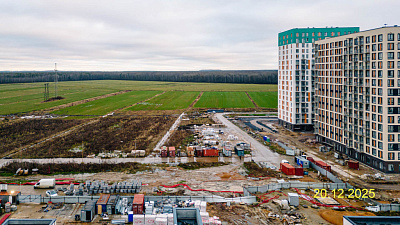 ЛО, Деревня Новосаратовка