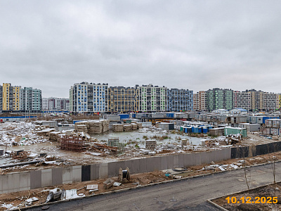 Янинский лес