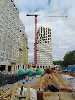 КУРКИНО15