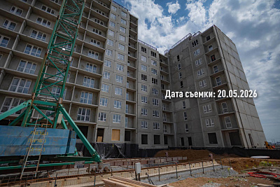 Концепт-проект