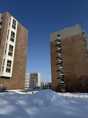 МО, Поселок городского типа Радумля, район ММС-2