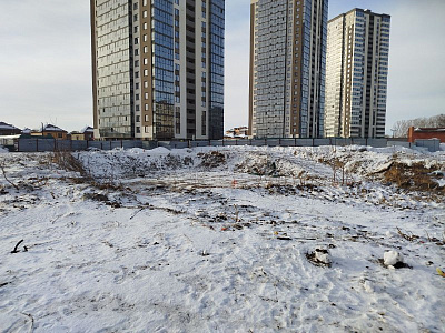 Расцветай на Зорге