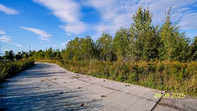 ЛО, Поселок Новогорелово