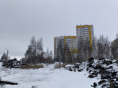 Расцветай в Солнечном