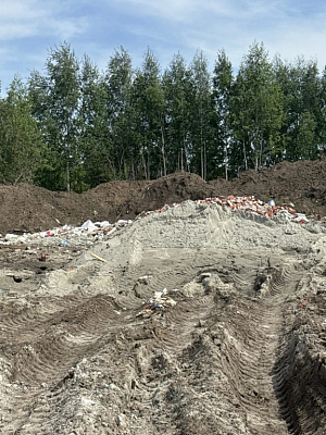 г. Бердск
