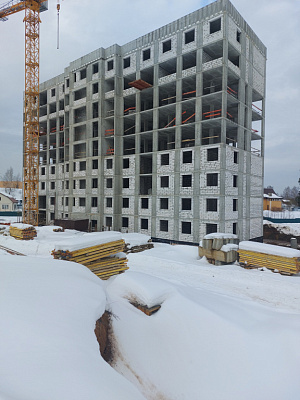 МО, Поселок городского типа Радумля, район ММС-2