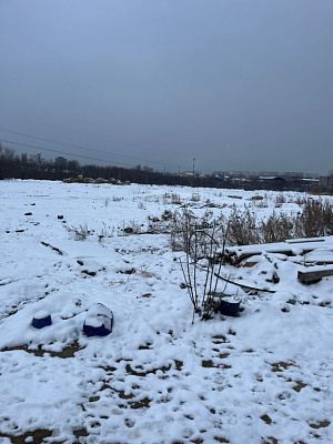 г. Тамбов, улица Заводская