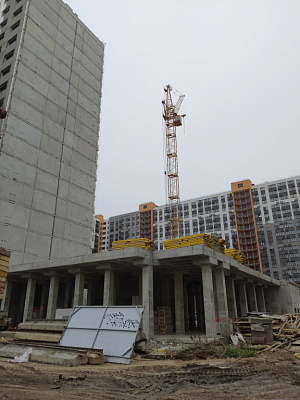 г. Воронеж, Улица