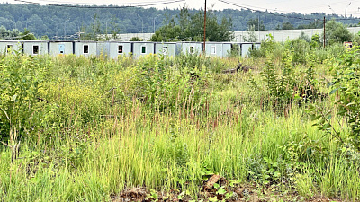Загородный квартал 