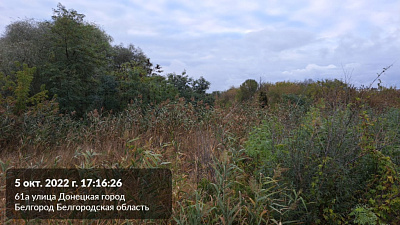 г. Белгород, ул Донецкая