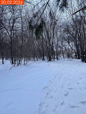 ЖК Флабеллум