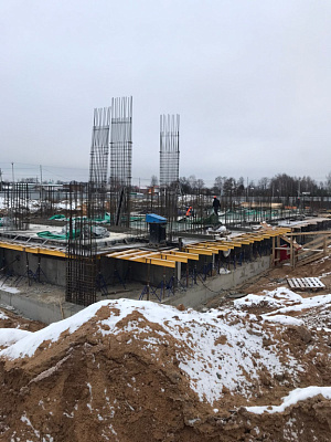ЖК «Пушкино Град»