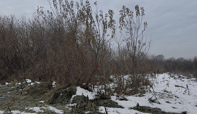 село С Новолуговое