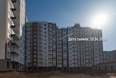 Концепт-проект 