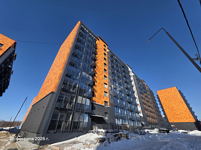 КВАРТАЛ ТИГРЫ