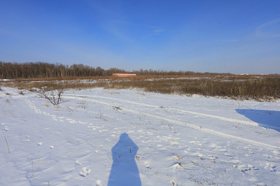 Движение61 
