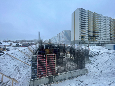 Новая Заря