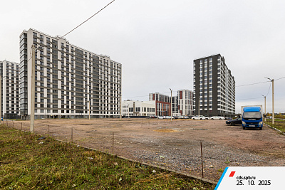 г. Санкт-Петербург, поселок Парголово, район Пригородный