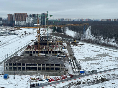 Город-парк Первый Московский (9 ф. к.3)