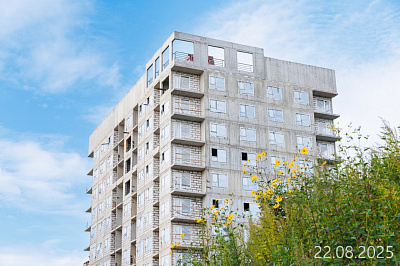 Новоселье